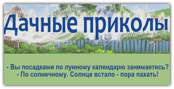 Приколитесь!!!