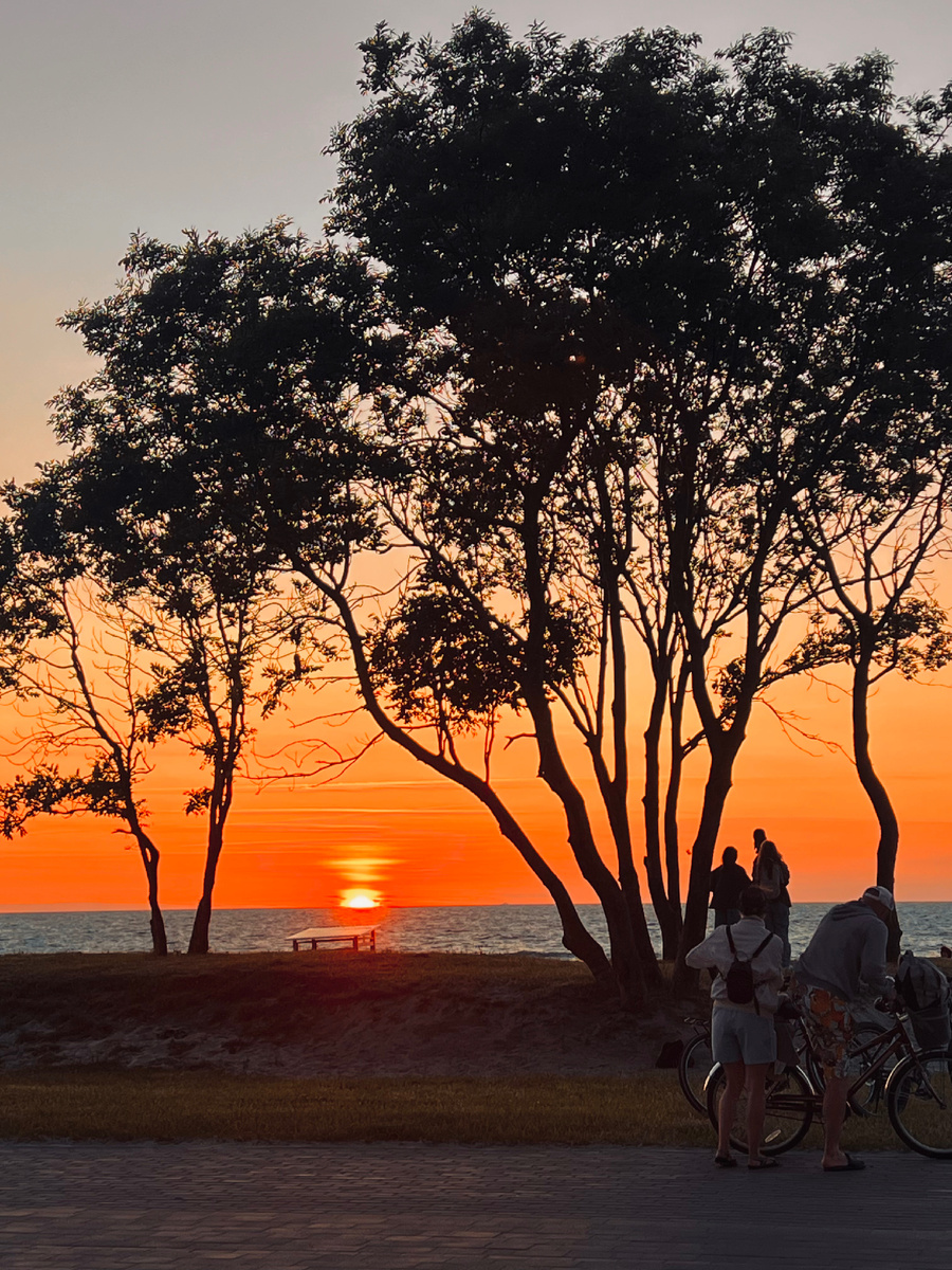  В Копенгагене — велосипед, шлем, маршрут. В Зеленоградске — тоже. А еще — лавка, ветер и чайка на соседнем подлокотнике.