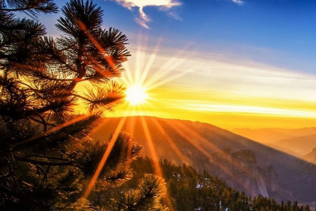 Яндекс Открытый источник 