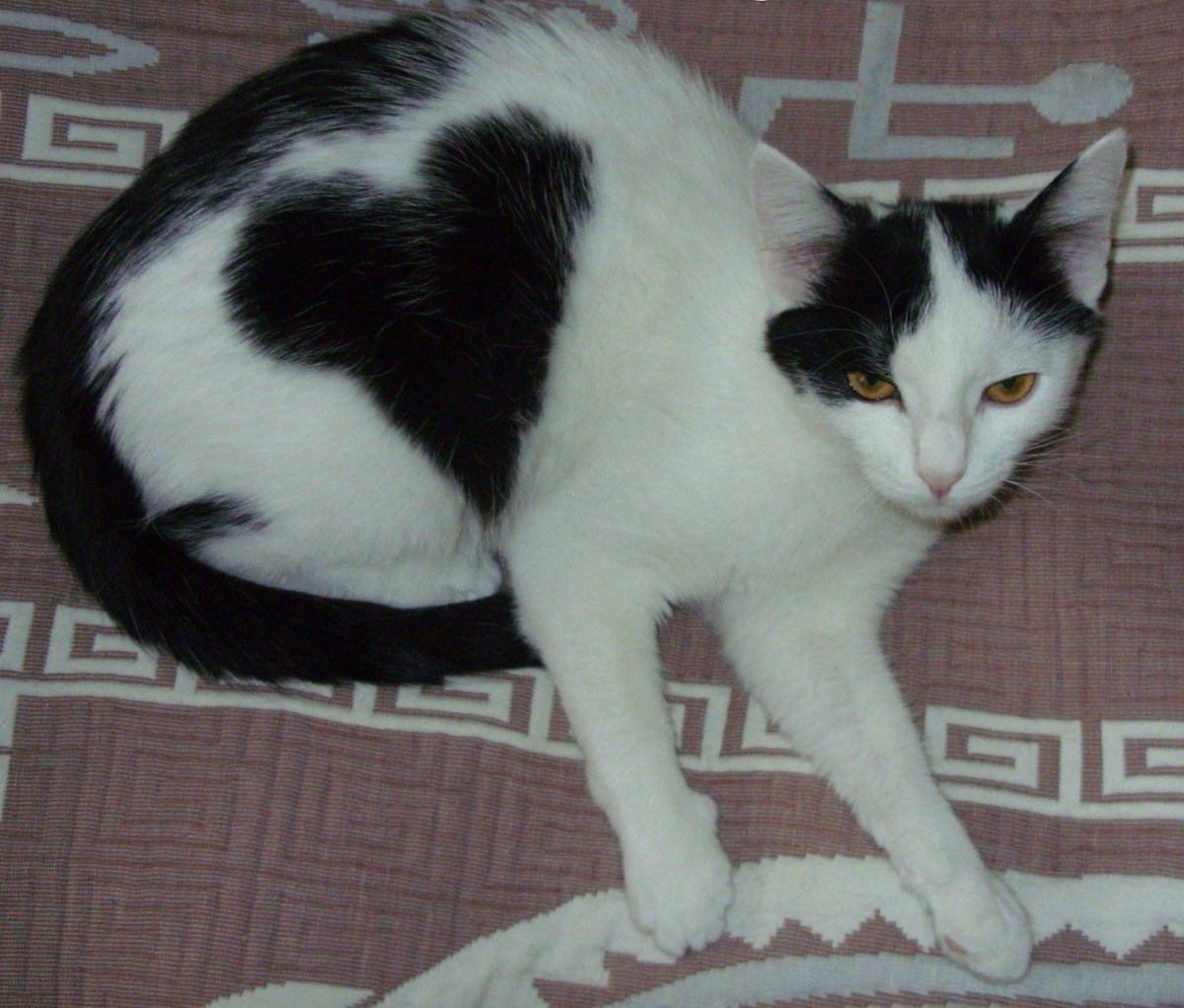 Фирменное сердечко на боку.