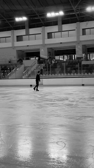 Дмитрий Алиев 4T