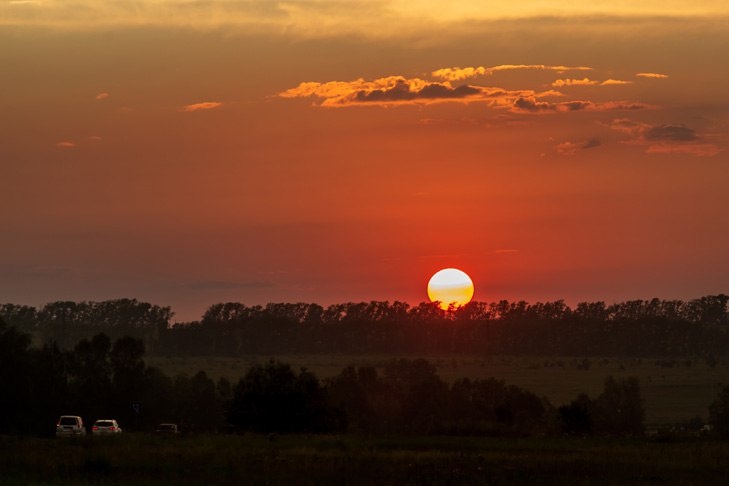    Фото Андрея Заржецкого
