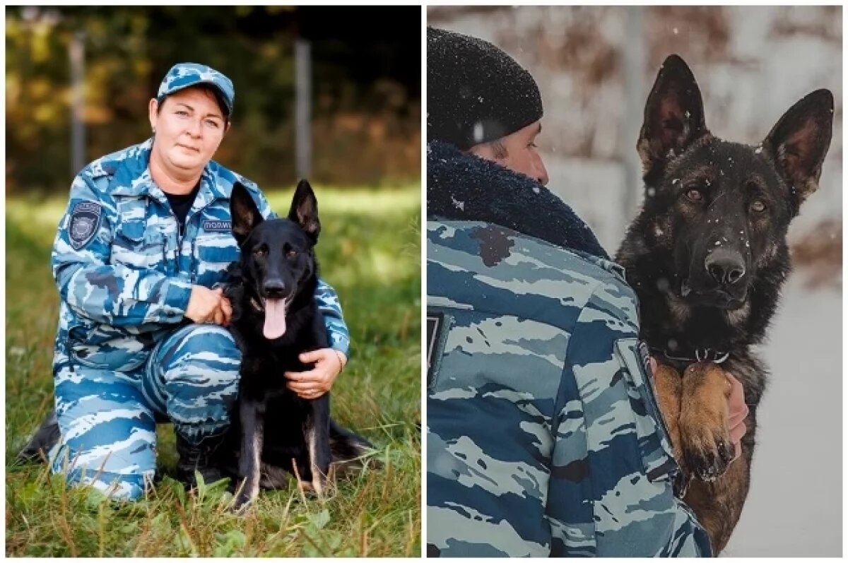    Прощаться с собакой, которую сам воспитал, всегда тяжело. Но у каждого это происходит по-разному.