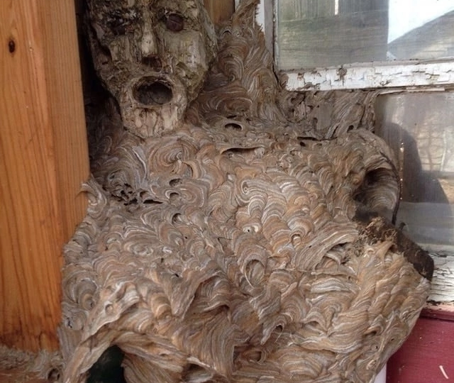 Маска и осы