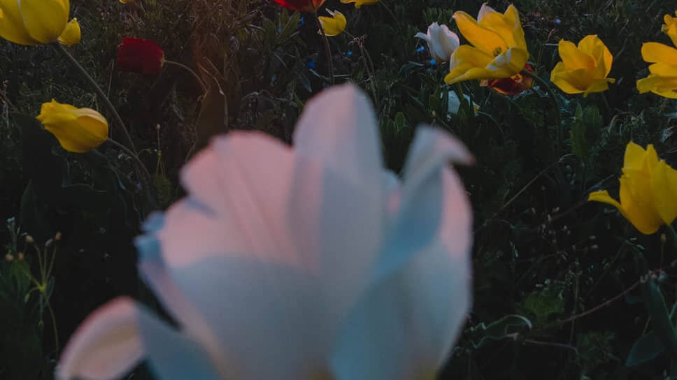 Фото: Роман Кокорин