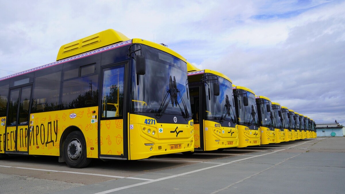    Фото: Юлия Чудинова / «Ямал-Медиа»