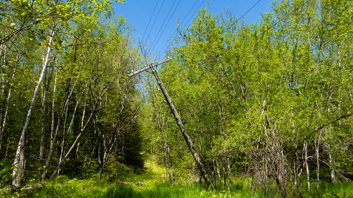 Линия телефонной связи уже не используется
