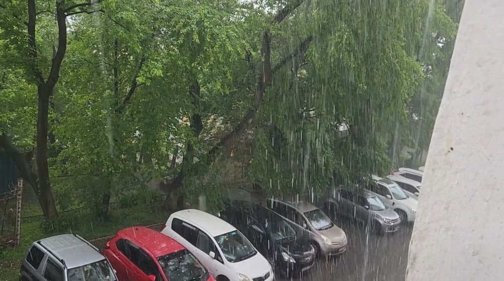     Источник: vostokmedia.com