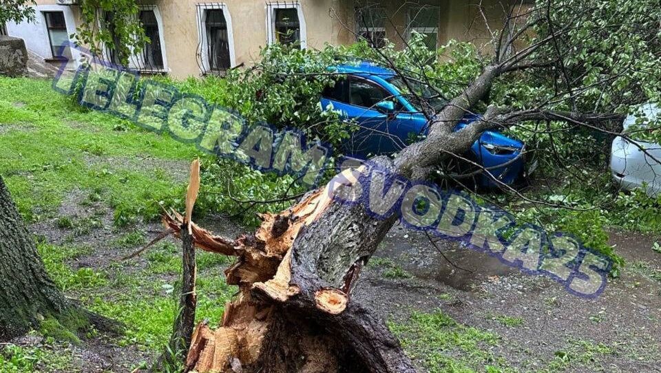     Источник: svodka25