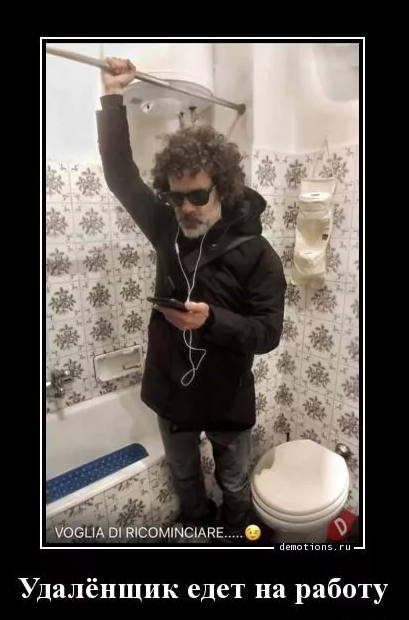 Яндекс картинки