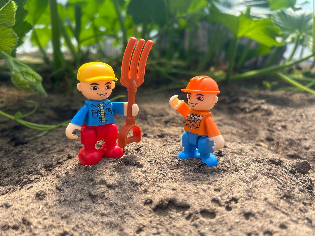 В нашем огородном сериале - новый персонаж в желтой кепке