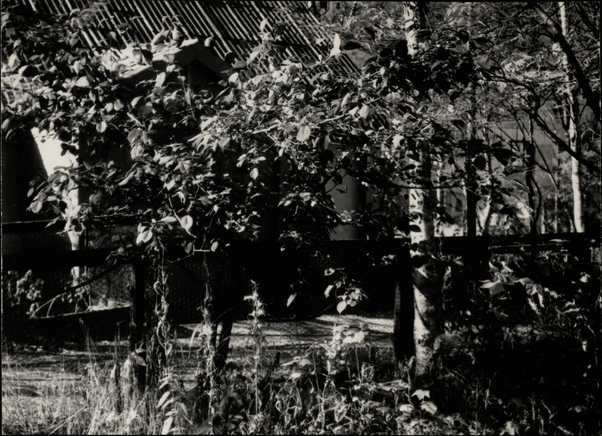 Фото: Весенние работы в саду музея, 1955 г. / Из личного архива Александры Леоновой