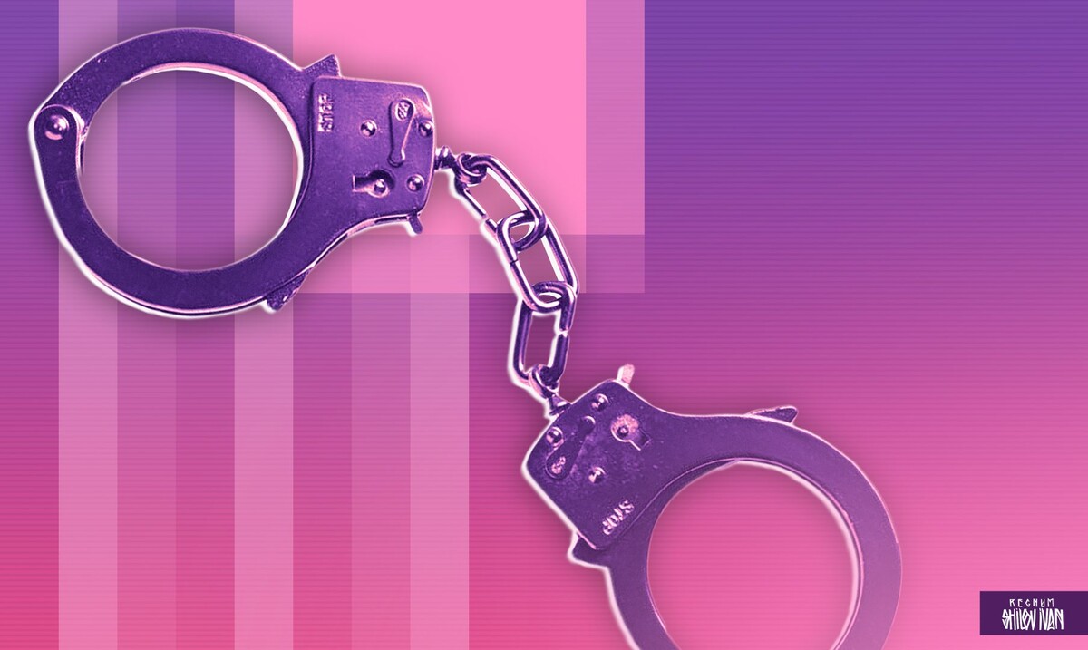    Арест полиция мвд / Источник: Иван Шилов (с) ИА Регнум