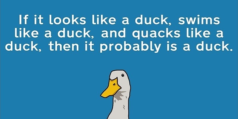 Довольно-таки необычная утка.