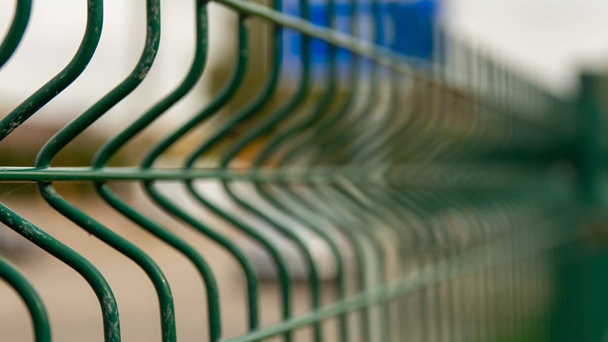    Фото: Shutterstock