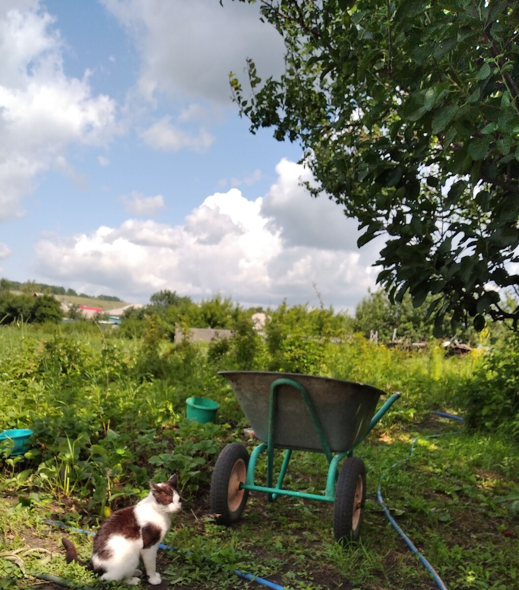 Рабочие моменты.