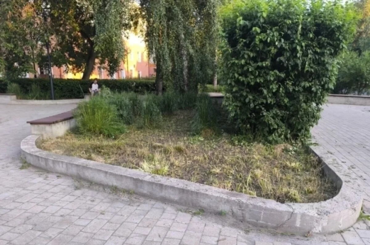    Рабочий скосил цветник вместо газона в Томске