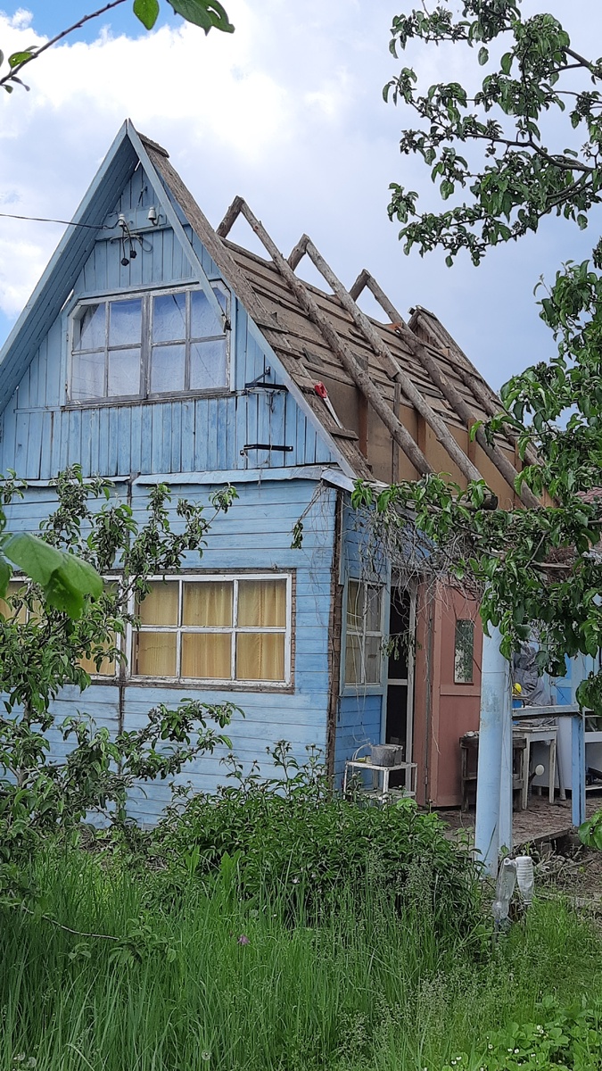 Виноград срезали, начали разбирать крышу и веранду.