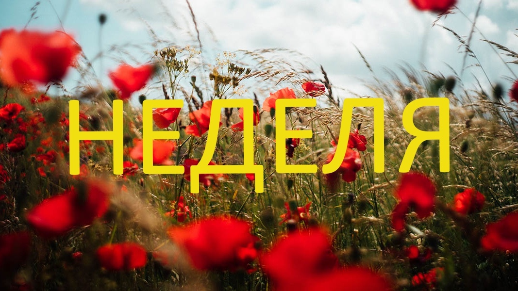 Июнь. Фото в свободном доступе