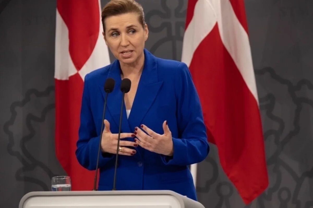    Премьер-министру Дании подарили сертификат в виде картонного осла