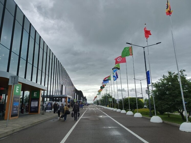     Фото: Архив МК в Питере.