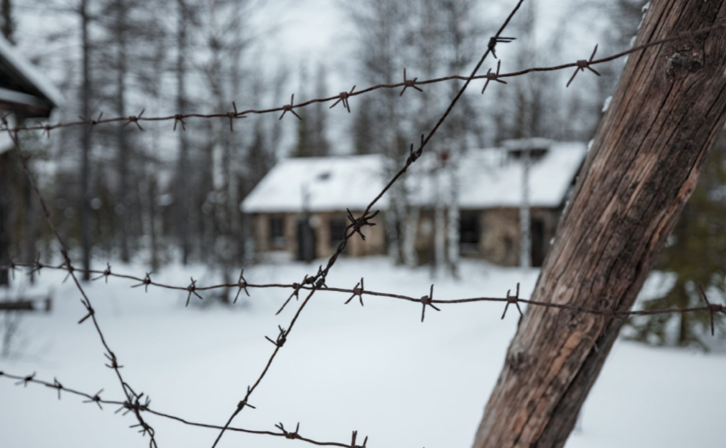 Фото: Сергей Зубков/АНО «Ямал-Медиа»