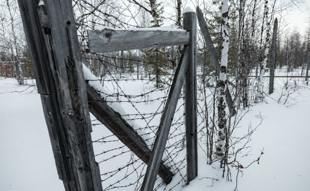 Фото: Сергей Зубков/АНО «Ямал-Медиа»