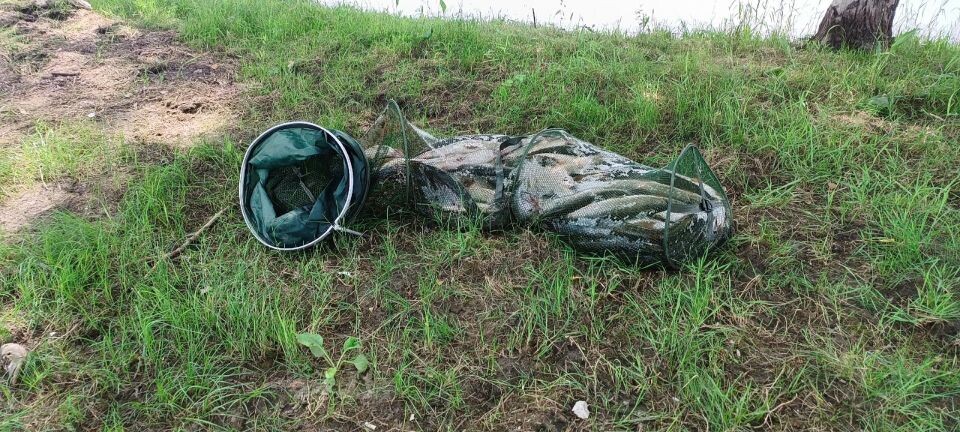    Рыбалка в Алтайском крае. Источник: vk.com/rvb22altay