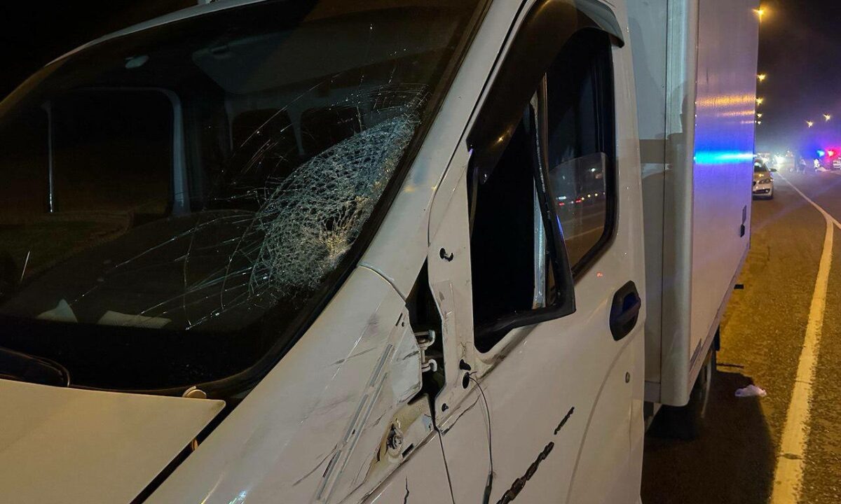    Фото t.me/gibdd123region