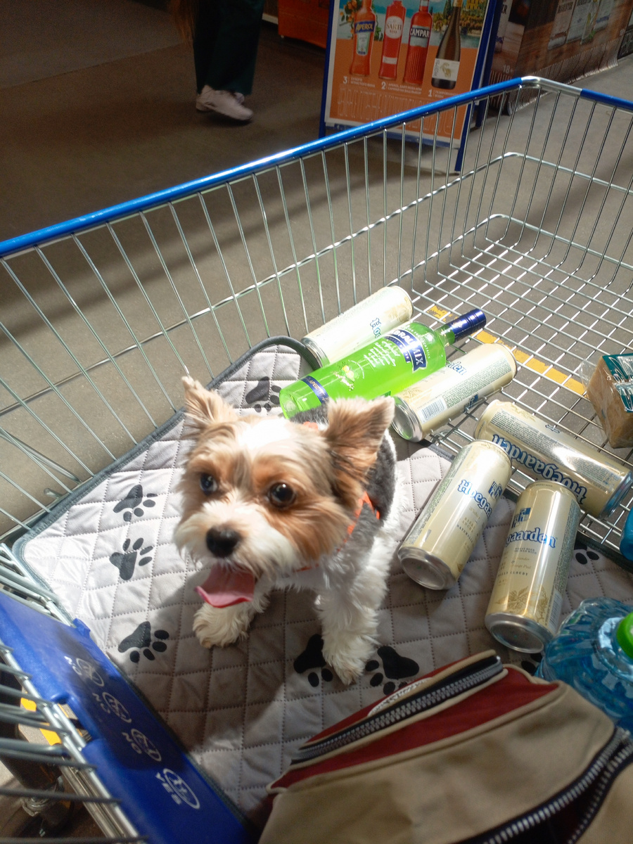 Подружкина Бусинка охраняет покупочки