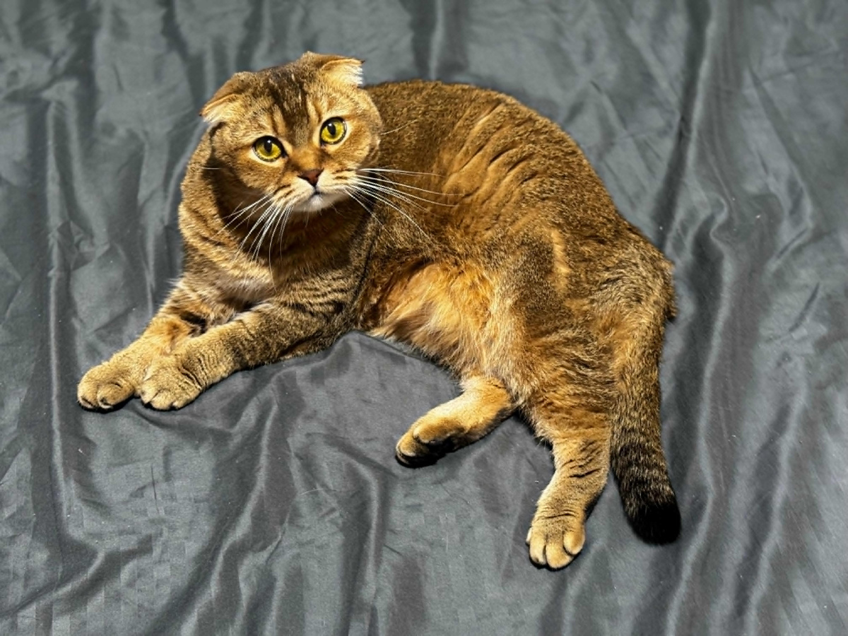 Мэй Ли (из личного архива)