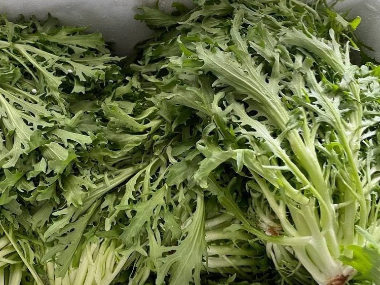    Фото: Национальный центр безопасности рыбной и сельскохозяйственной продукции