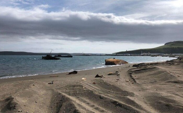 Так много затонувших кораблей ещё осталось не поднятыми со дна моря / Фото: министерство транспорта Сахалинской области