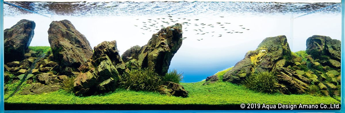 Стиль Ивагуми - основу и фокус составляют несколько камней.