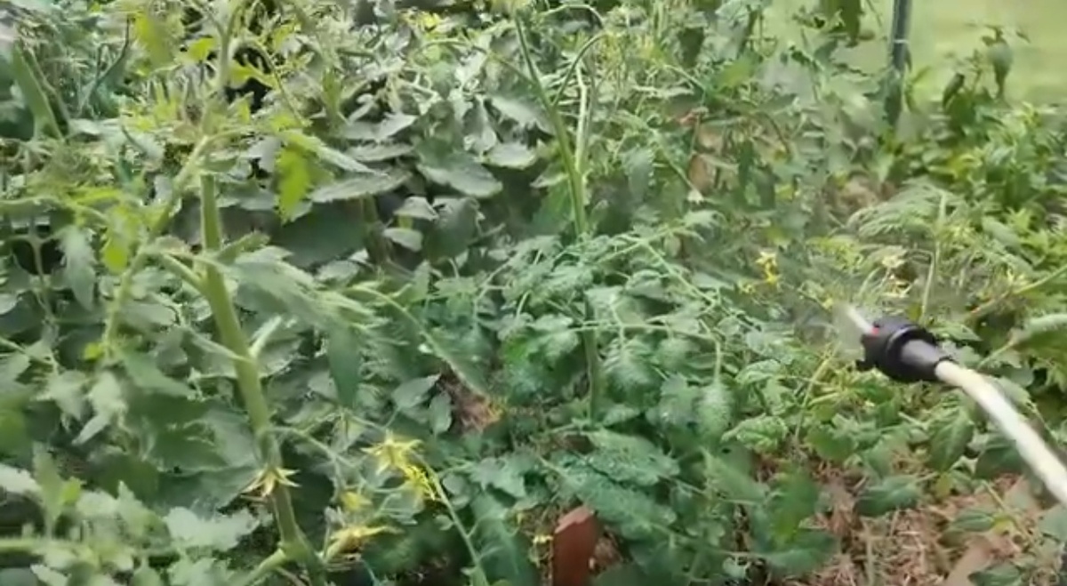 Ловлю момент между дождями