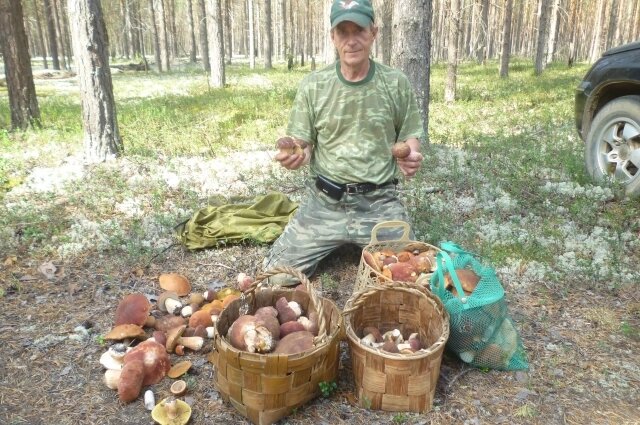     В лесу поэт ощущает себя в своей стихии. Фото:Из личного архива Александра Шебырева.
