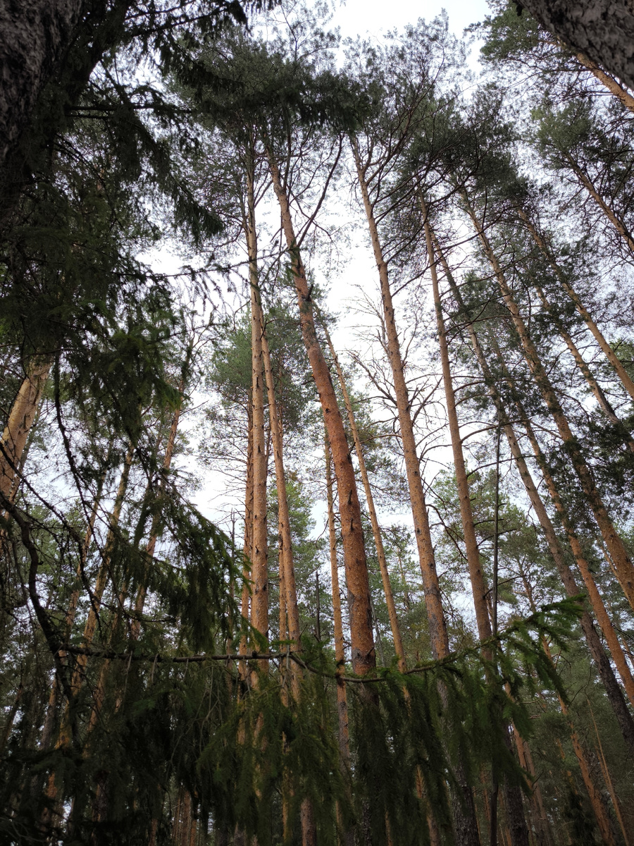 Личное фото 