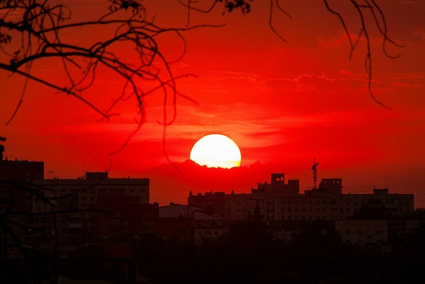 Фото Яндекс картинки.