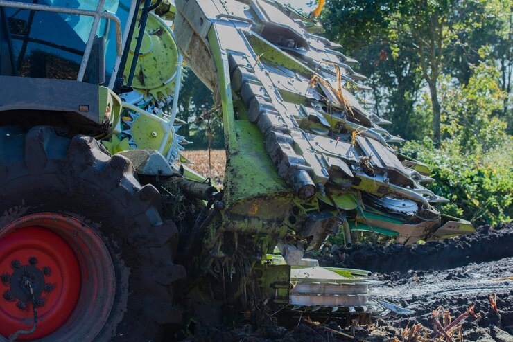    Фото: freepik.com Редактор