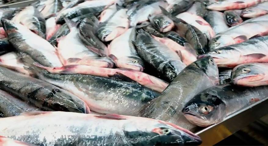    Источник фото: