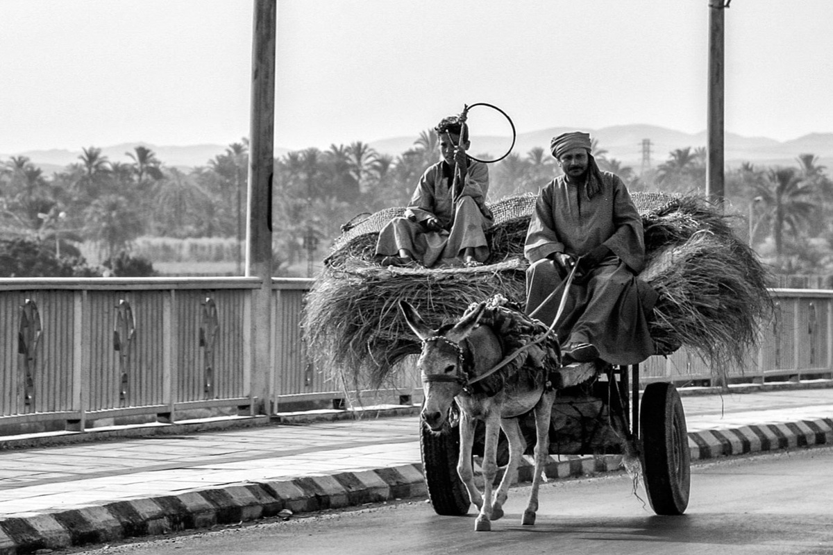 Империализм сегодня контролирует экономику через долги и корпорации, не нуждаясь в колониях