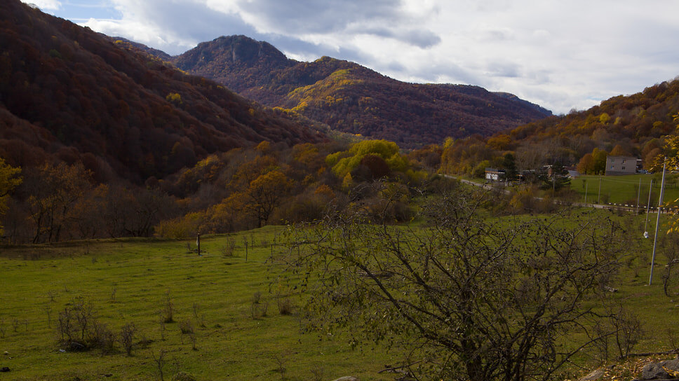Фото: Мария Старикова / Коммерсантъ