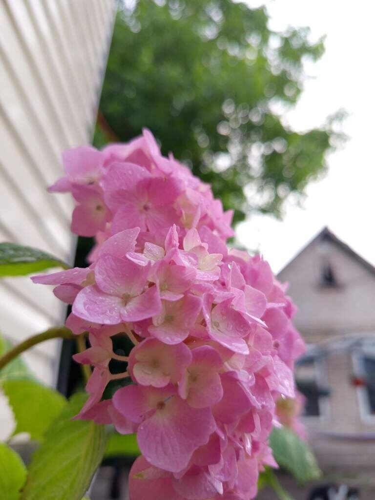   Фото: А. Токарева. Газета "Земля"