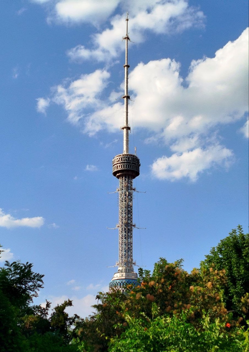 Фото автора.