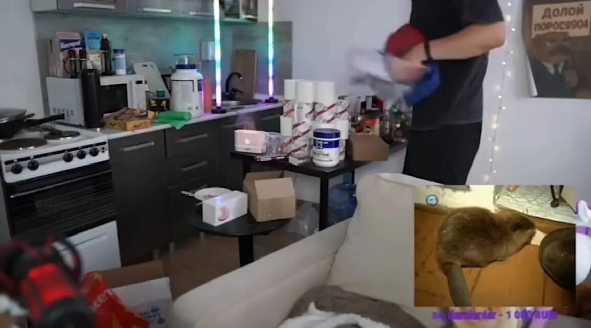    Фото: скрин из видео в социальных сетях