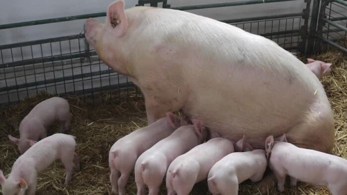 Фото из Интернета