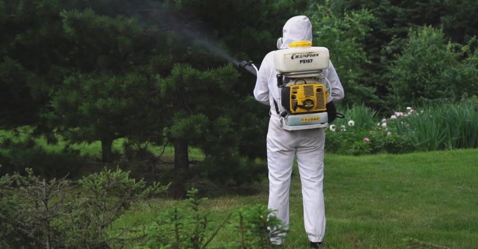    Комары. Обработка территории. Источник: Толк