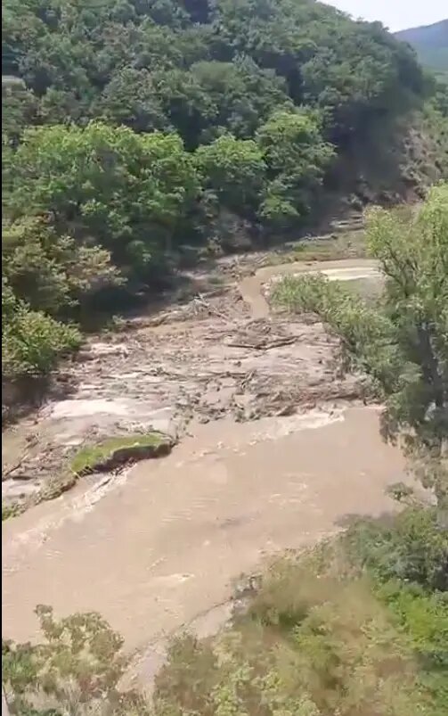    Фото: стоп-кадр видео от пресс-службы приморского филиала АО «ДРСК»