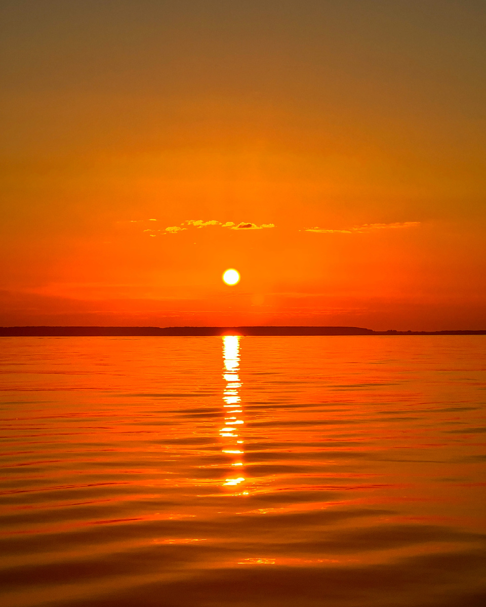 Личный архив