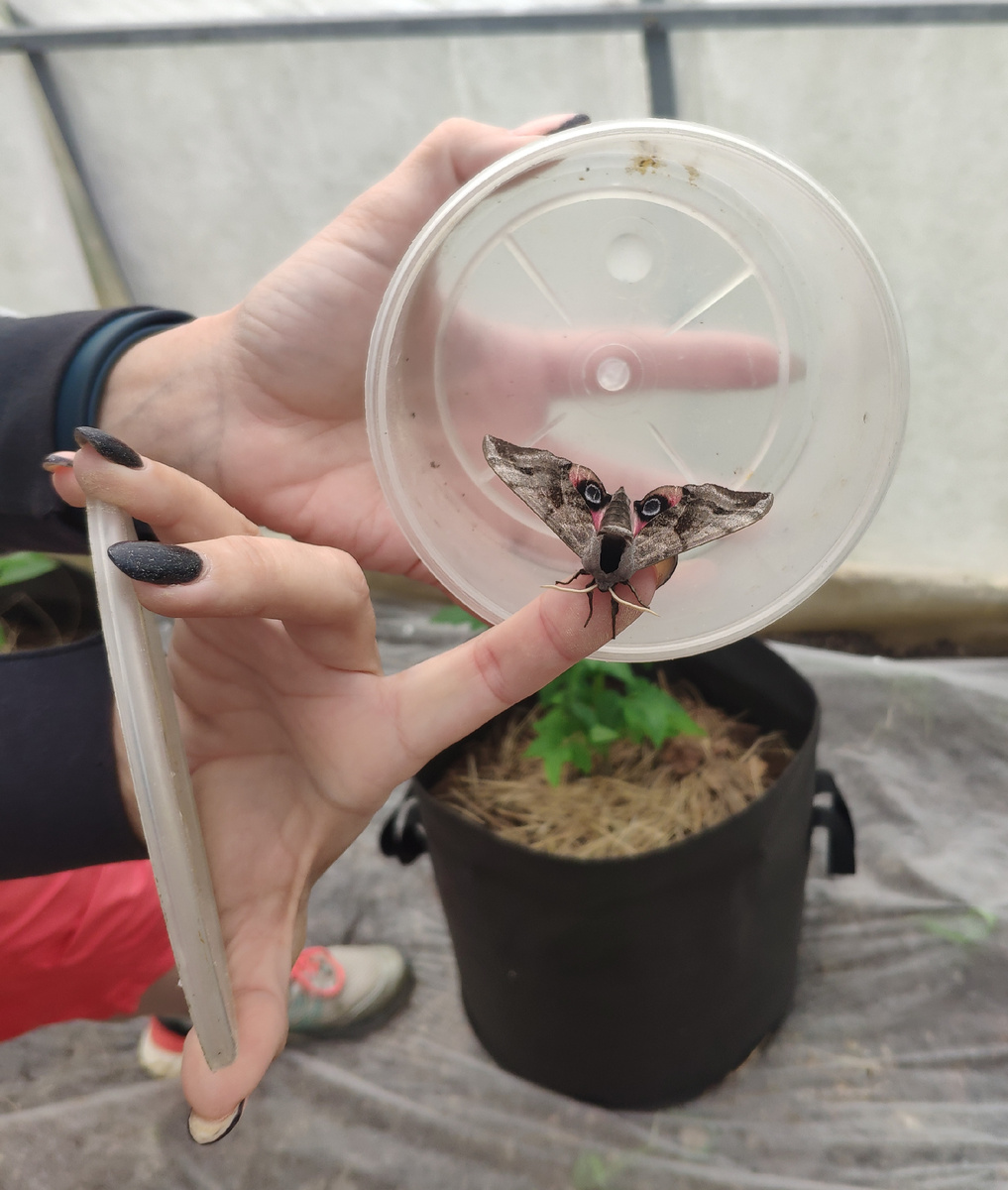 Тапкофото автора 